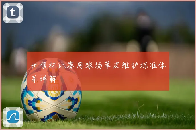 世俱杯比赛用球场草皮维护标准体系详解