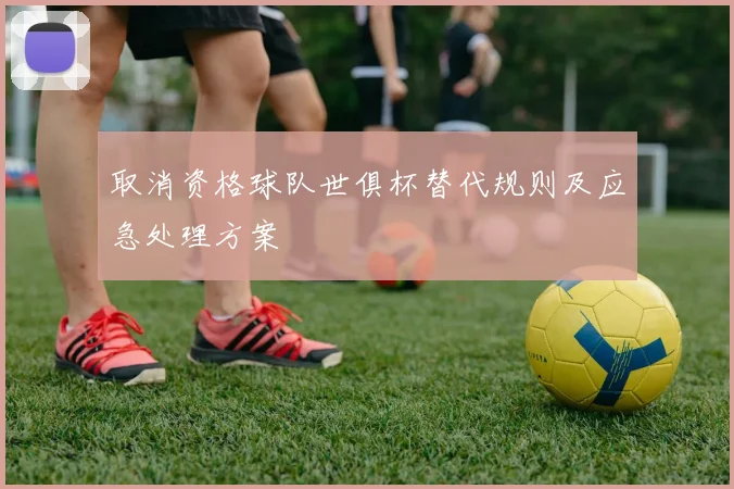 取消资格球队世俱杯替代规则及应急处理方案