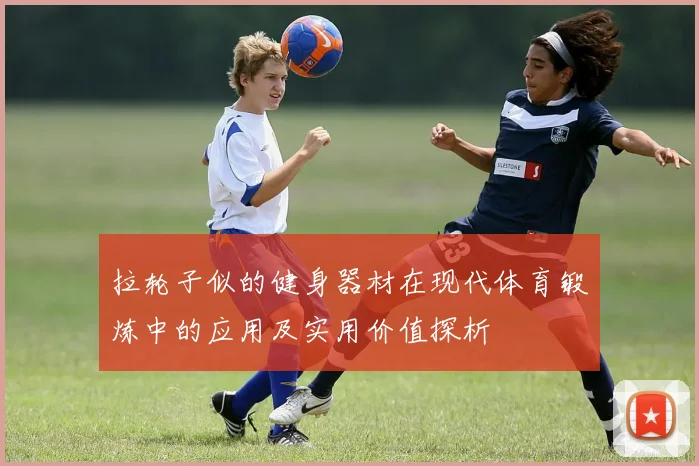 拉轮子似的健身器材在现代体育锻炼中的应用及实用价值探析
