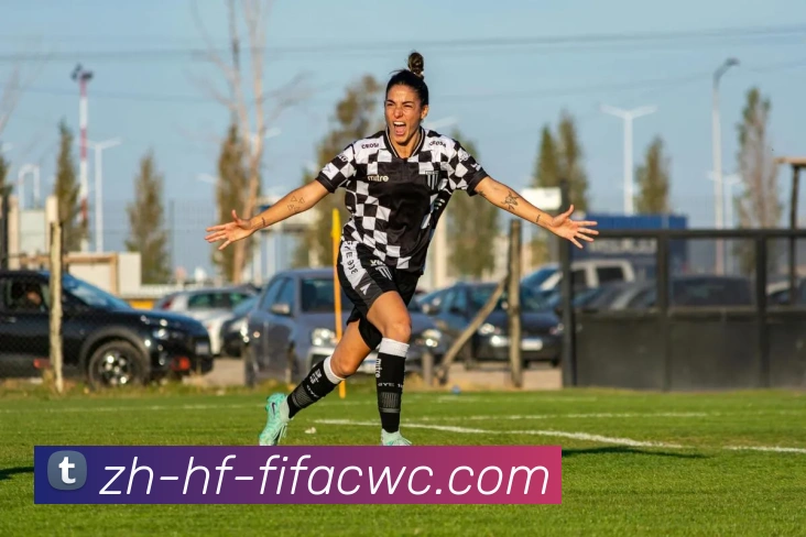 2017年火箭队球员年薪数据统计与比较