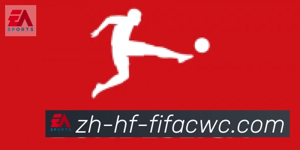 世界杯在线观看合作伙伴