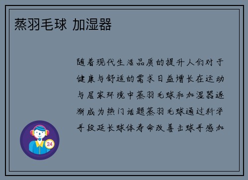蒸羽毛球 加湿器